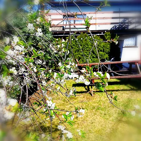 منزل للإقامة Uslugi Noclegowe I Gastronomiczne Dla Ludnosci Robert Mielcarek