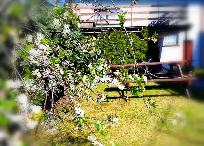 منزل للإقامة Uslugi Noclegowe I Gastronomiczne Dla Ludnosci Robert Mielcarek