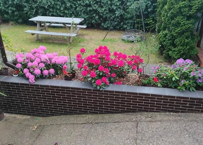 Uslugi Noclegowe I Gastronomiczne Dla Ludnosci Robert Mielcarek בית אירוח Kobyla Góra